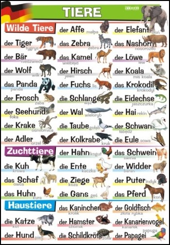 J.niemiecki  Tiere