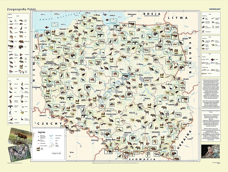 Zoogeografia Polski
