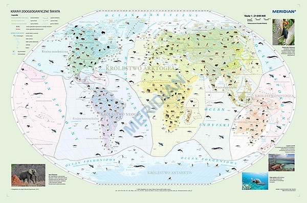 Krainy zoogeograficzne świata