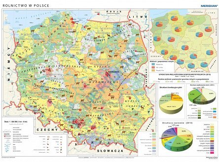 Rolnictwo w Polsce - uprawy i struktura użytkowania ziemi - mapa ścienna