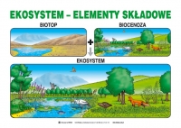 Edukacja ekologiczna